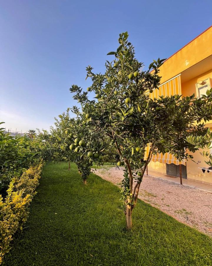 Casa Vacanze Paradise Santa Maria La Carita Экстерьер фото