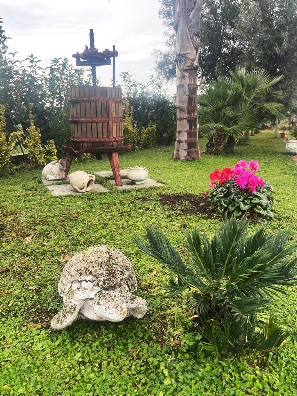 Casa Vacanze Paradise Santa Maria La Carita Экстерьер фото