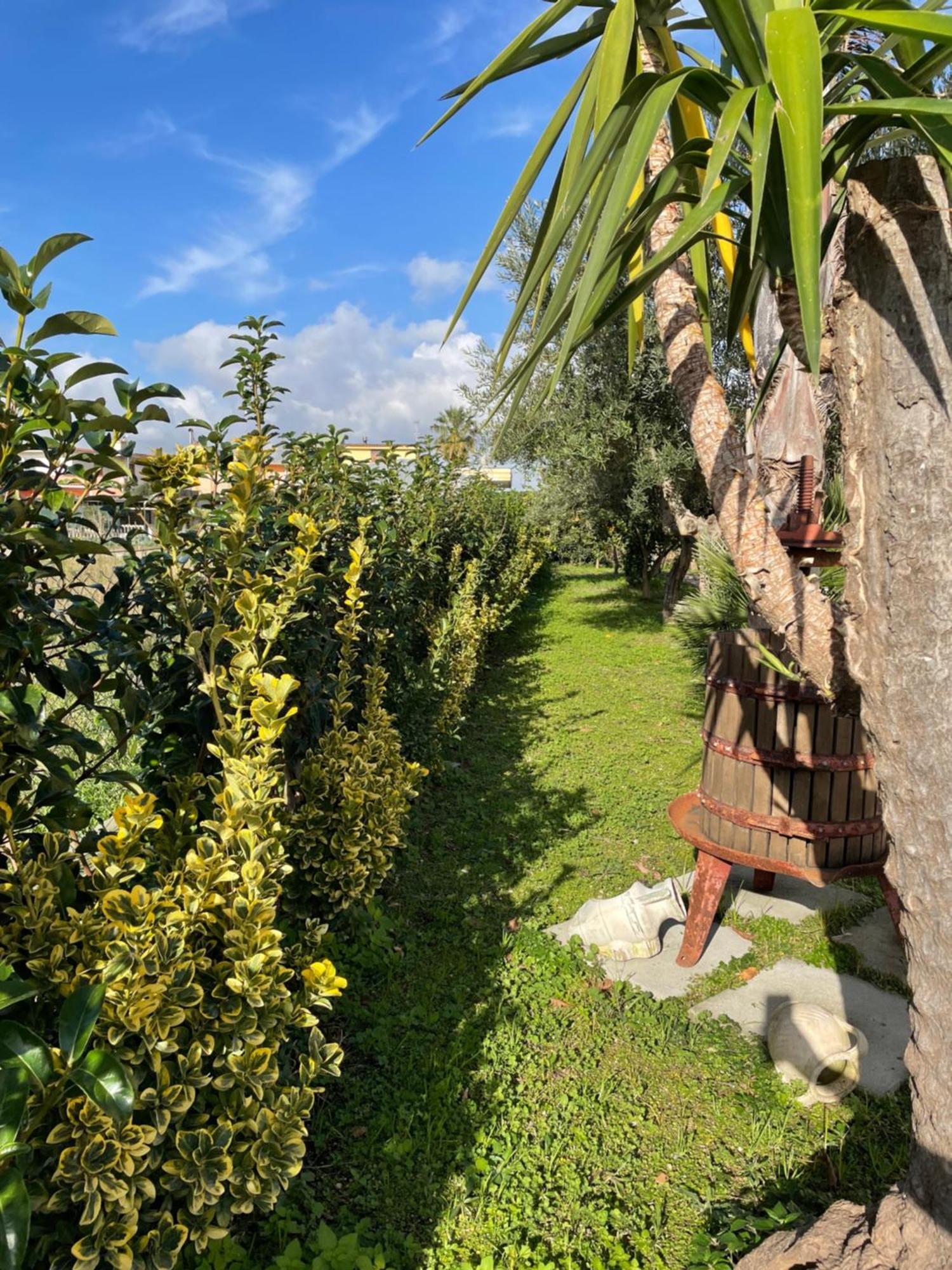 Casa Vacanze Paradise Santa Maria La Carita Экстерьер фото